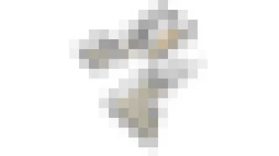 Kamphuisstraat 3 Voorthuizen thumbnail 37