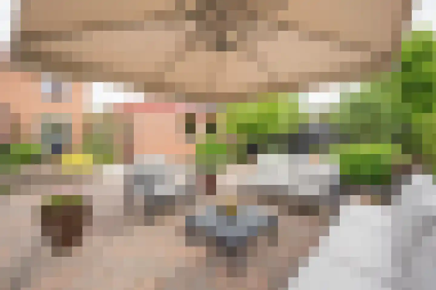 Kamphuisstraat 3 Voorthuizen thumbnail 4