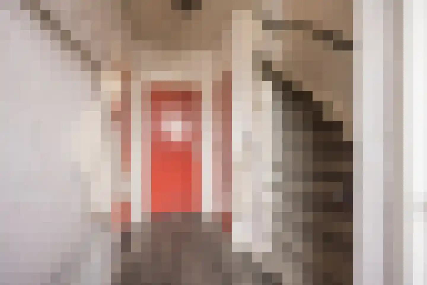 Kamphuisstraat 3 Voorthuizen thumbnail 6