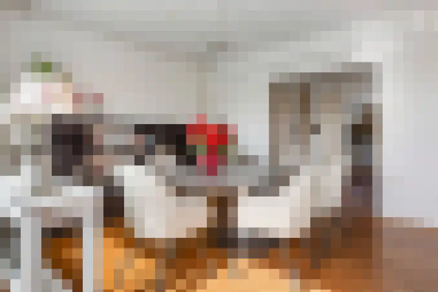 Kamphuizenlaan 77 2 Arnhem thumbnail 12