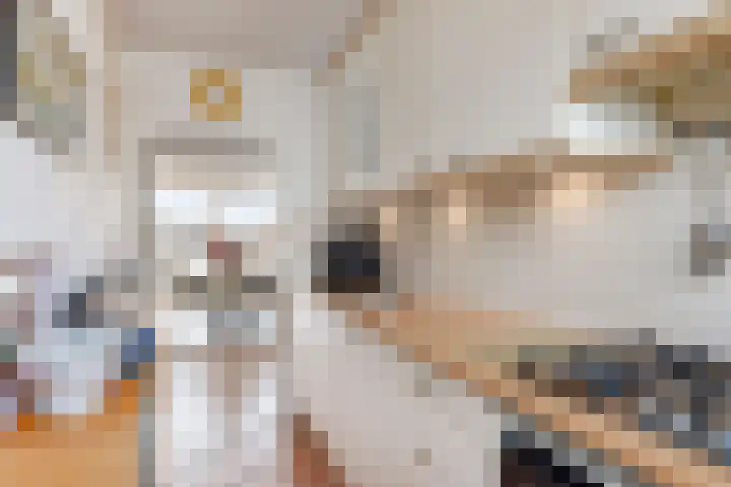 Kamphuizenlaan 77 2 Arnhem thumbnail 29