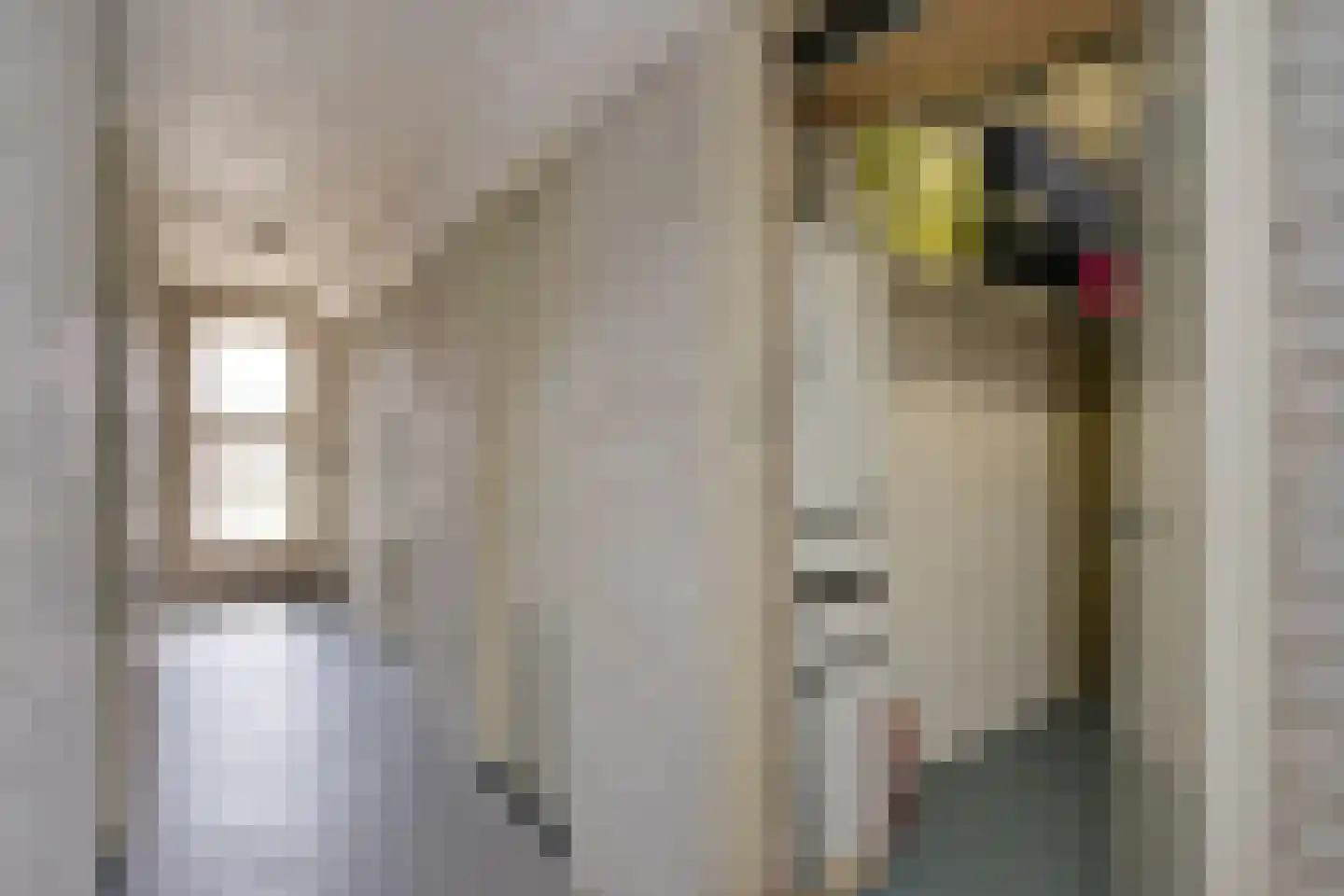 Kamphuizenlaan 77 2 Arnhem thumbnail 37