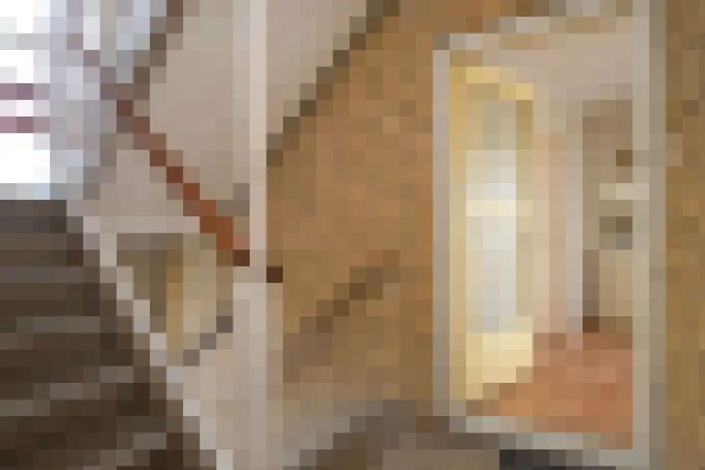 Kamphuizenlaan 77 2 Arnhem thumbnail 6