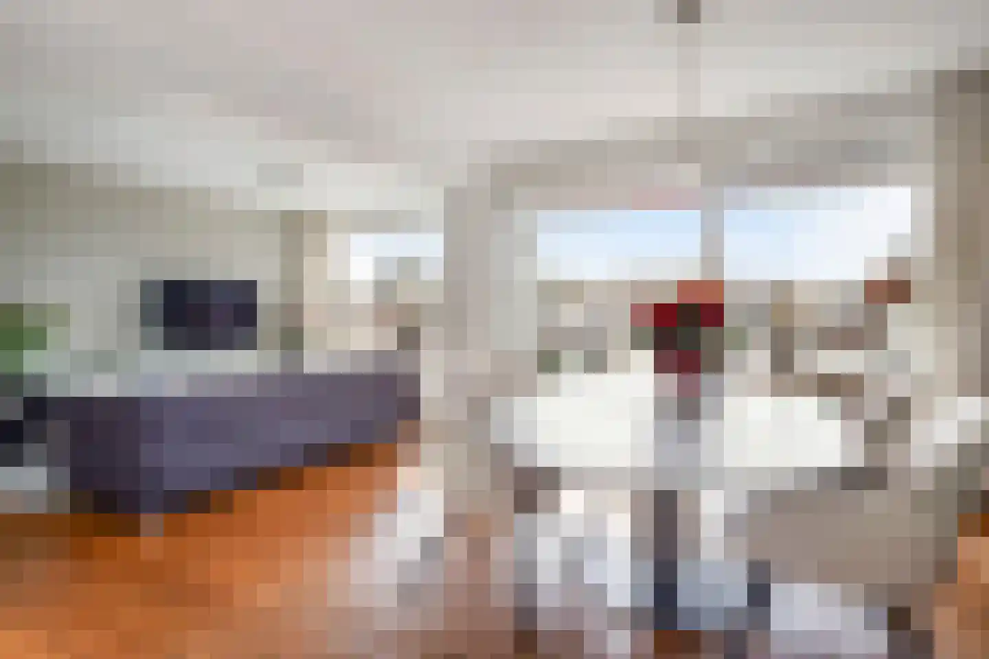 Kamphuizenlaan 77 2 Arnhem thumbnail 9