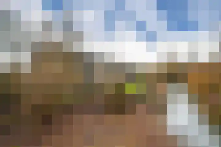 Kamphuizenlaan 87 1 Arnhem thumbnail 5