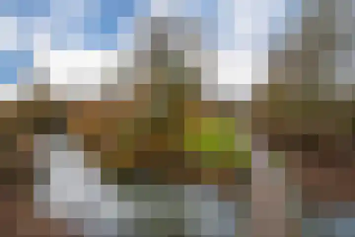 Kamphuizenlaan 87 1 Arnhem thumbnail 6