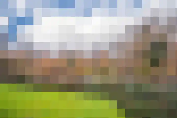 Kamphuizenlaan 87 1 Arnhem thumbnail 7