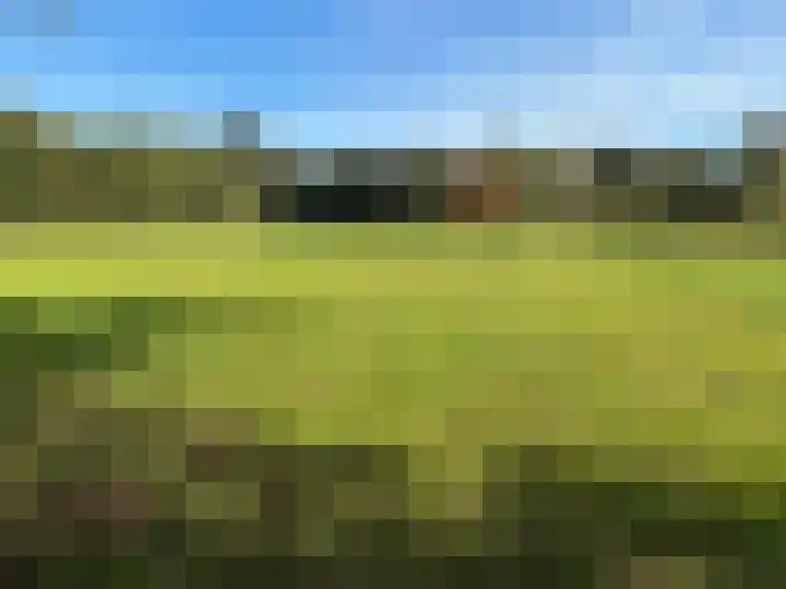 Kamphuizerweg 7 Vorden thumbnail 16