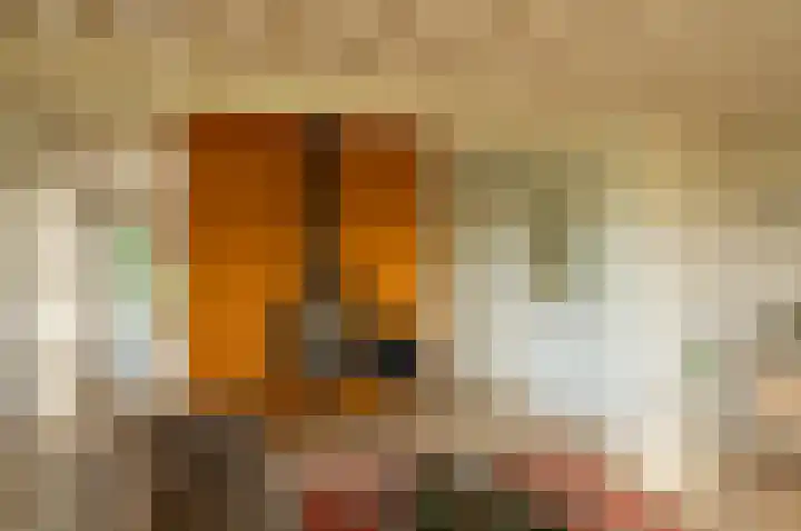 Kamphuizerweg 7 Vorden thumbnail 19