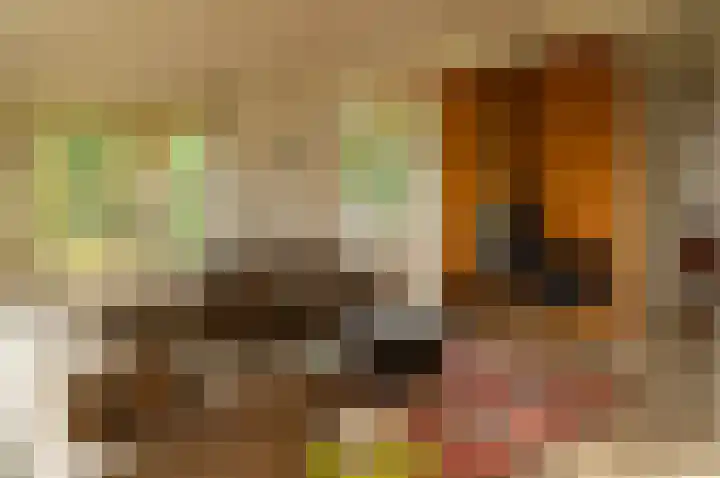 Kamphuizerweg 7 Vorden thumbnail 20