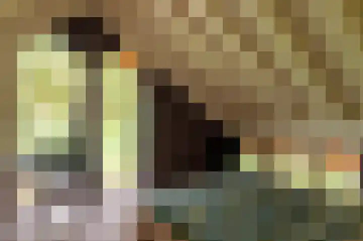 Kamphuizerweg 7 Vorden thumbnail 31