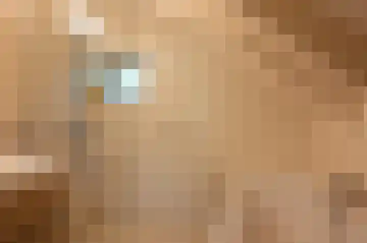 Kamphuizerweg 7 Vorden thumbnail 36