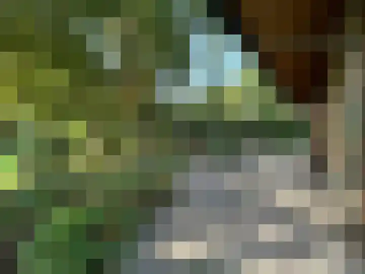 Kamphuizerweg 7 Vorden thumbnail 40