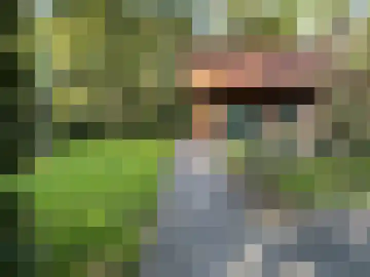 Kamphuizerweg 7 Vorden thumbnail 43