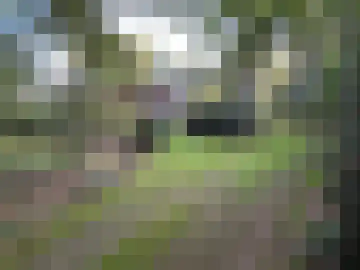 Kamphuizerweg 7 Vorden thumbnail 6