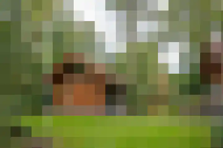 Kamphuizerweg 7 Vorden thumbnail 9