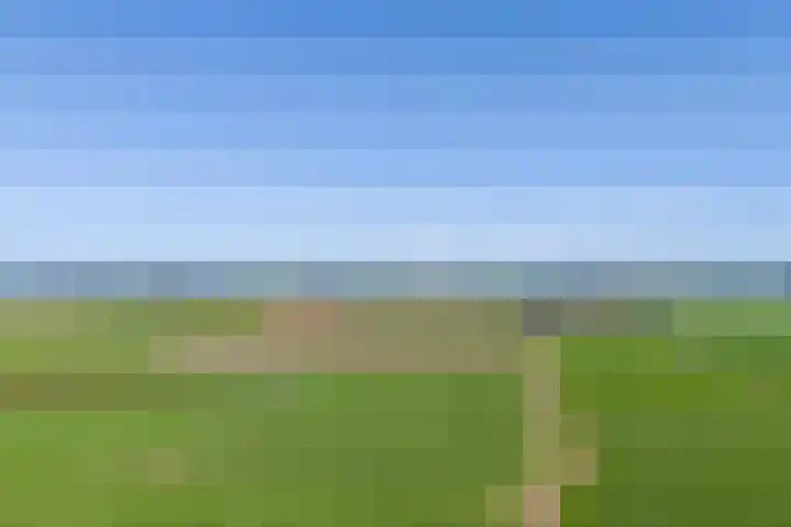 Kamphússtrjitte 20 Hantumhuzen thumbnail 22