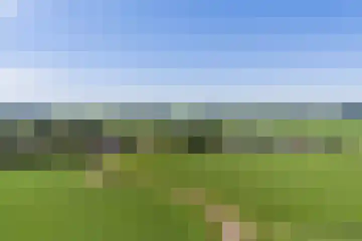 Kamphússtrjitte 20 Hantumhuzen thumbnail 24