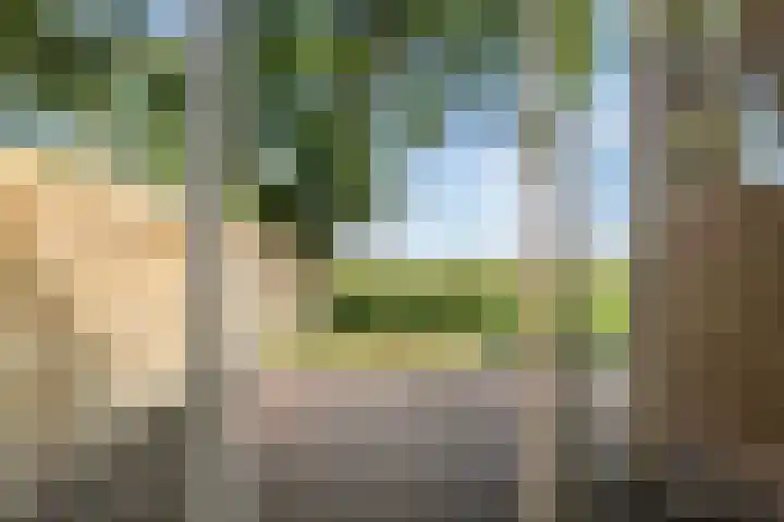 Kamphússtrjitte 20 Hantumhuzen thumbnail 31