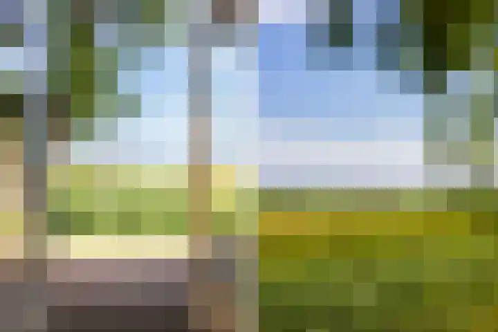 Kamphússtrjitte 20 Hantumhuzen thumbnail 4