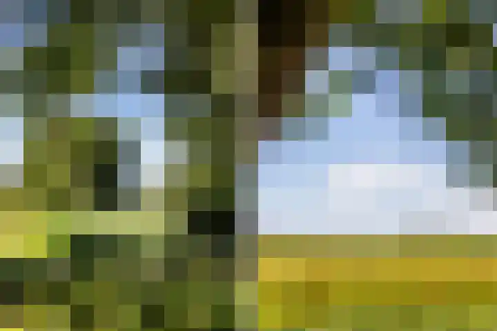 Kamphússtrjitte 20 Hantumhuzen thumbnail 40