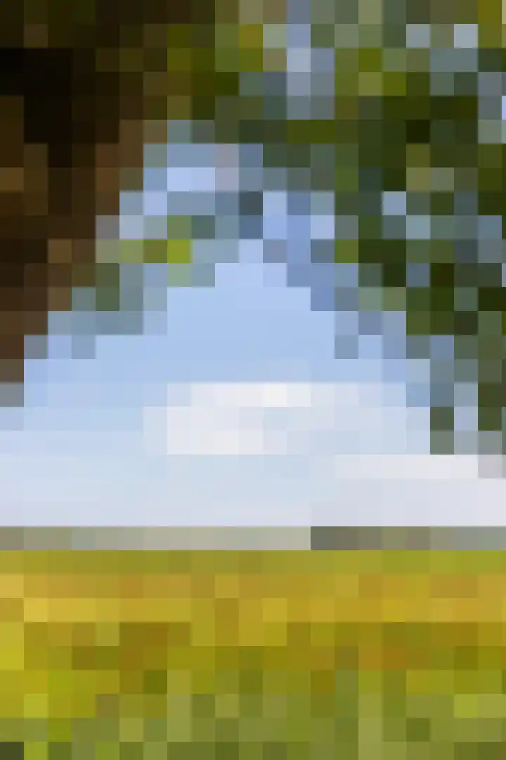 Kamphússtrjitte 20 Hantumhuzen thumbnail 42