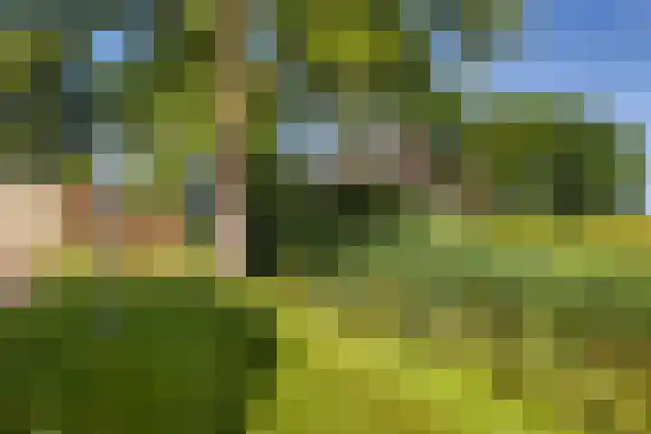 Kamphússtrjitte 20 Hantumhuzen thumbnail 49