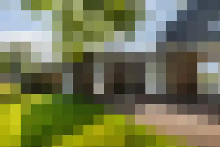 Kamphússtrjitte 20 Hantumhuzen thumbnail 50