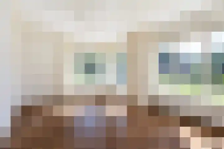 Kamphússtrjitte 20 Hantumhuzen thumbnail 53