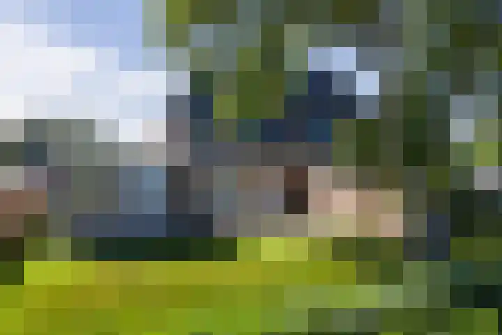 Kamphússtrjitte 20 Hantumhuzen thumbnail 6