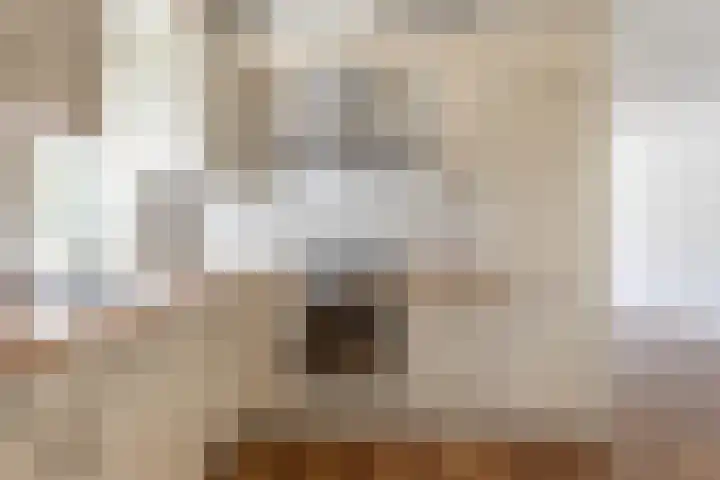 Kamphússtrjitte 20 Hantumhuzen thumbnail 67