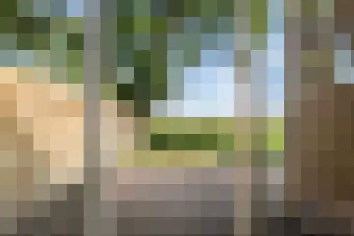 Kamphússtrjitte 20 Hantumhuzen thumbnail 69