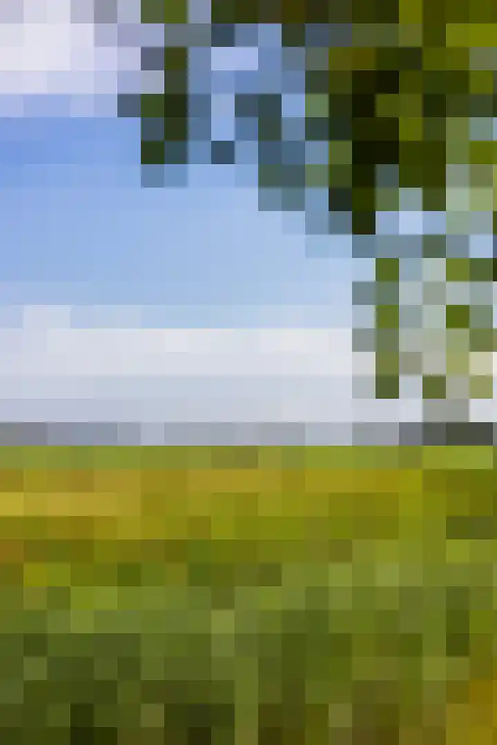 Kamphússtrjitte 20 Hantumhuzen thumbnail 75