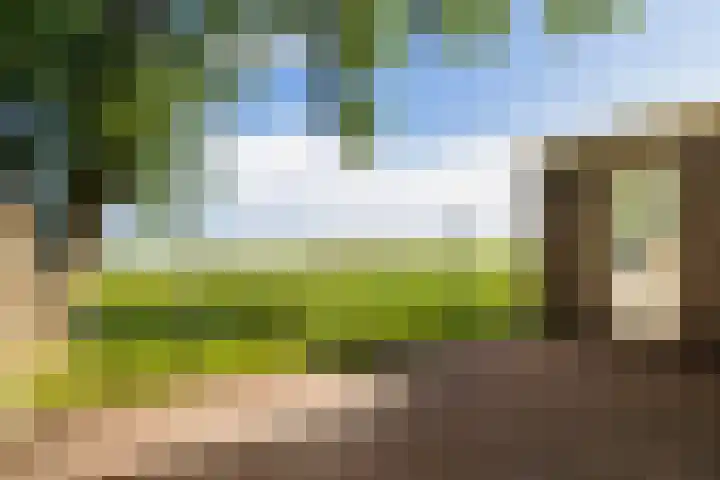 Kamphússtrjitte 20 Hantumhuzen thumbnail 83