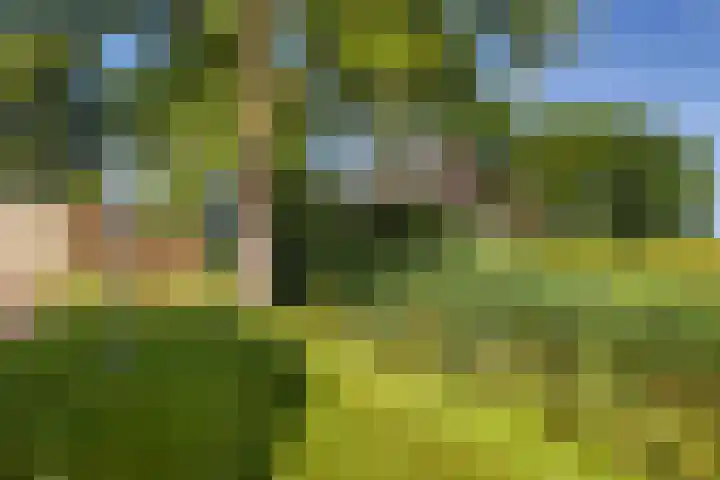 Kamphússtrjitte 20 Hantumhuzen thumbnail 85