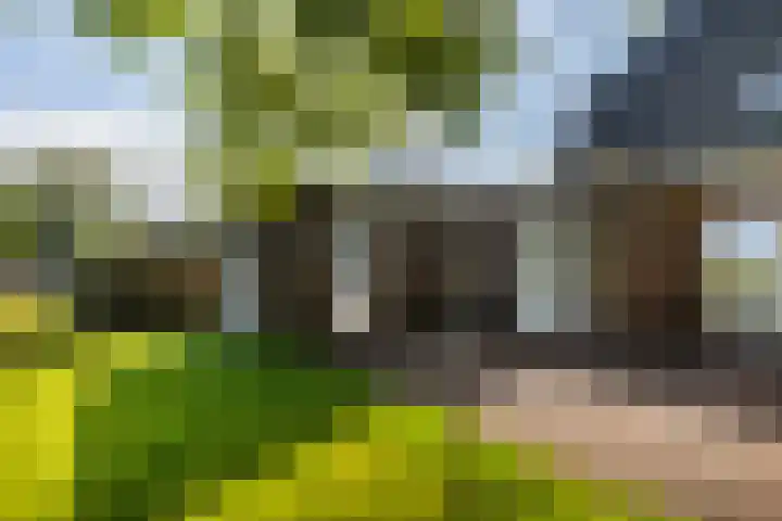 Kamphússtrjitte 20 Hantumhuzen thumbnail 86