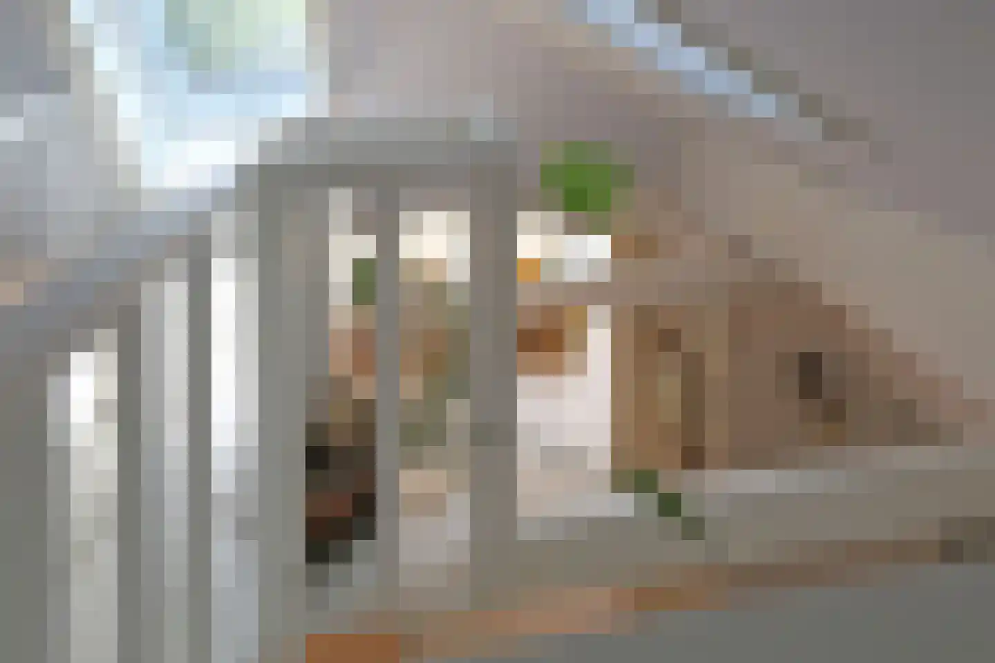 Kamphússtrjitte 7 Hantumhuzen thumbnail 28