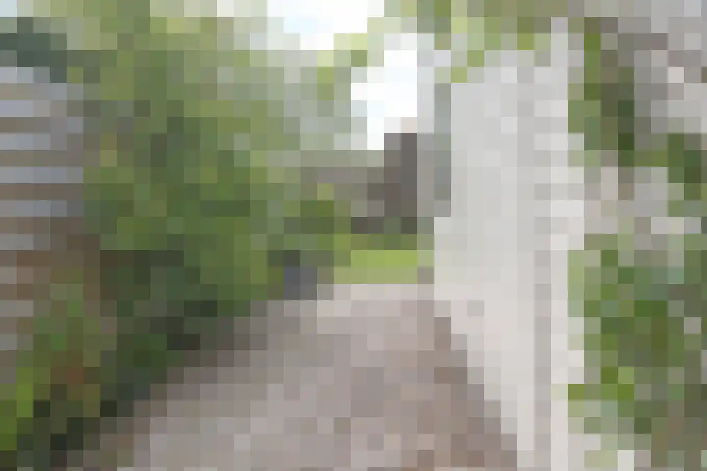 Kamphússtrjitte 7 Hantumhuzen thumbnail 45