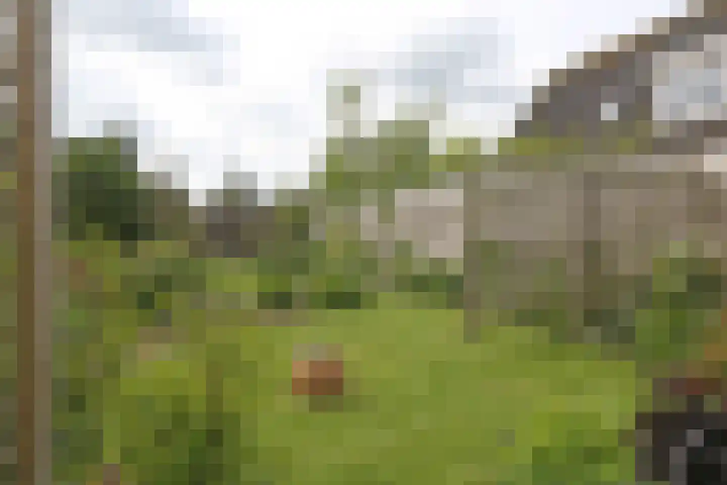 Kamphússtrjitte 7 Hantumhuzen thumbnail 46