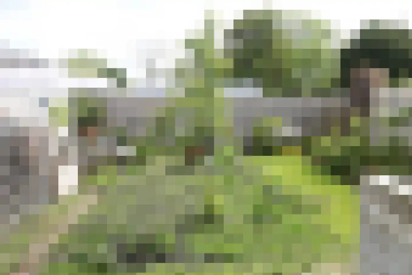 Kamphússtrjitte 7 Hantumhuzen thumbnail 47