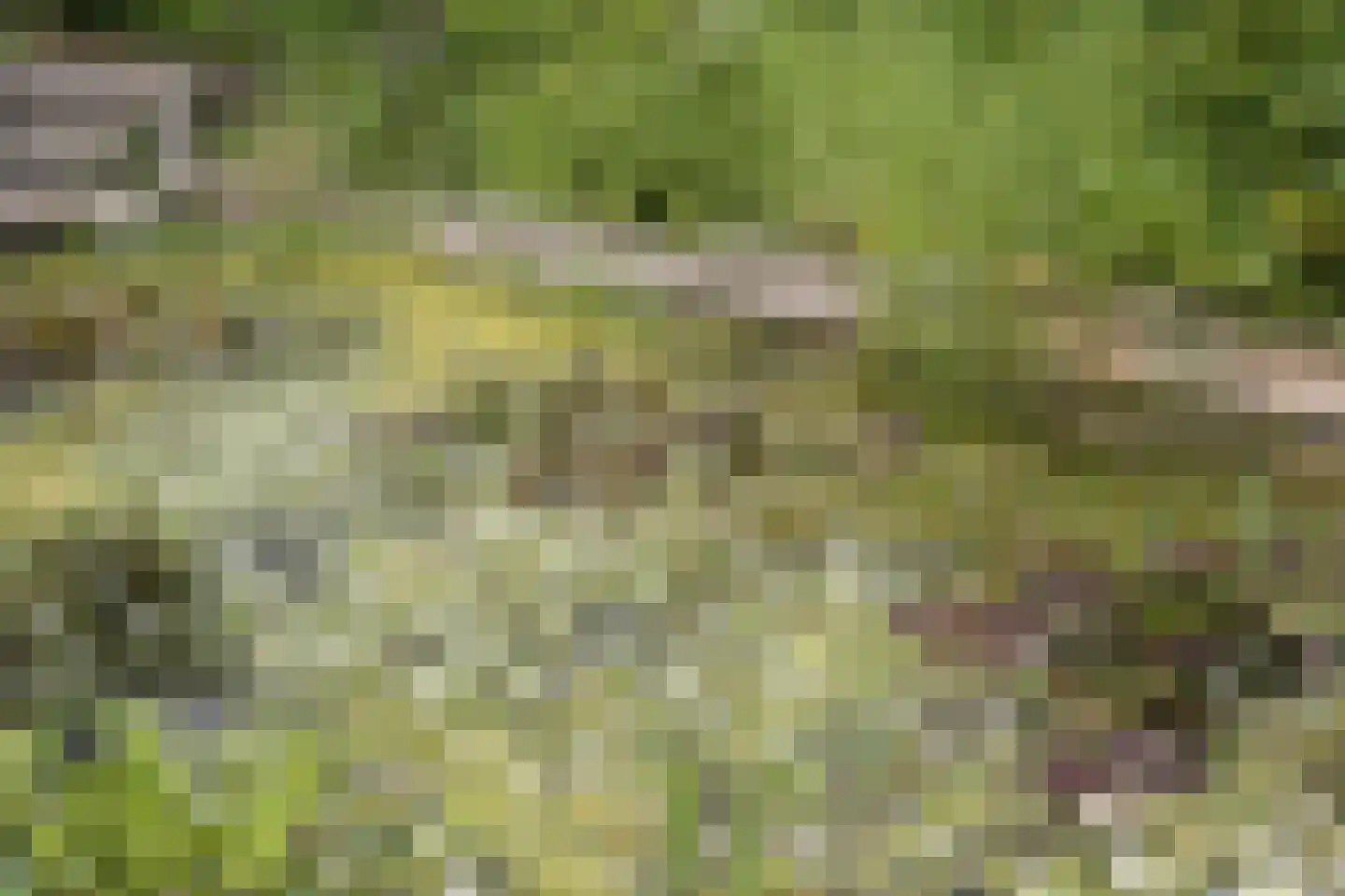 Kamphússtrjitte 7 Hantumhuzen thumbnail 50