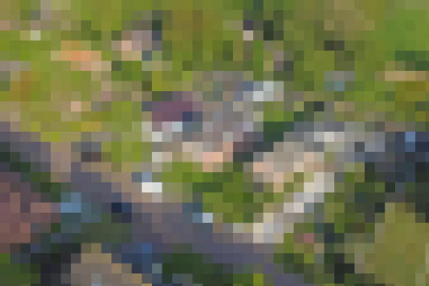 Kamphússtrjitte 7 Hantumhuzen thumbnail 52