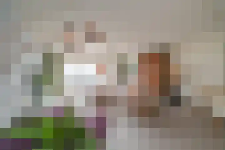Kampioensingel 11 Den Haag thumbnail 5