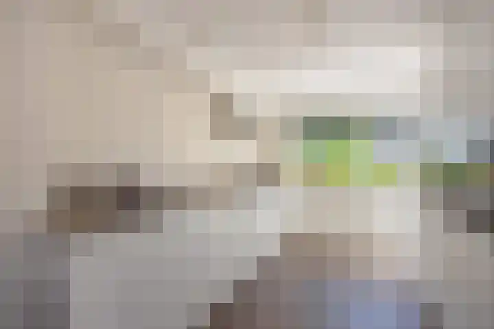 Kampioensingel 15 Den Haag thumbnail 11