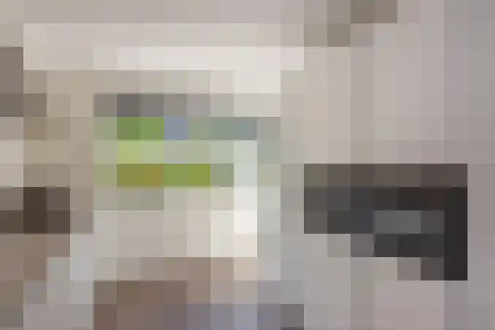 Kampioensingel 15 Den Haag thumbnail 12
