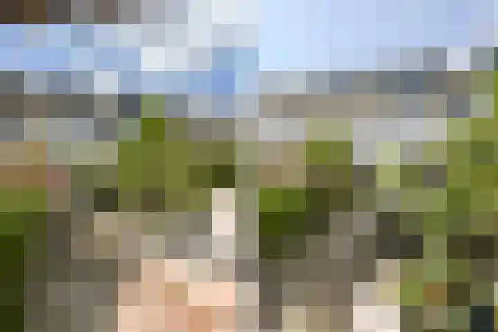 Kampioensingel 31 Den Haag thumbnail 19