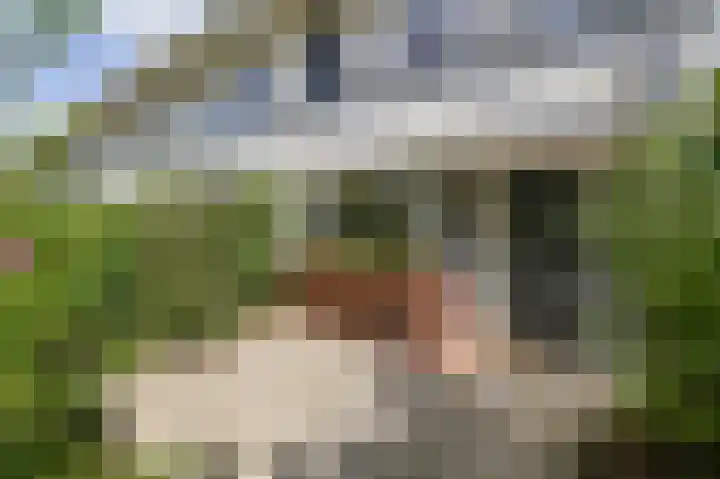 Kampioensingel 31 Den Haag foto 2