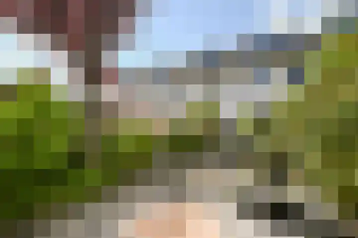 Kampioensingel 31 Den Haag thumbnail 20