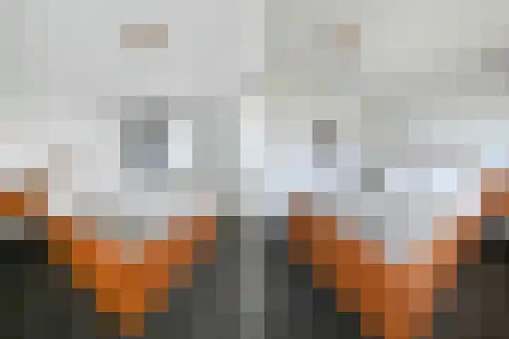 Kampioensingel 31 Den Haag thumbnail 35