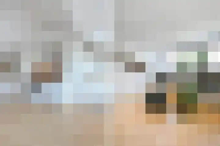 Kampioensingel 31 Den Haag thumbnail 47